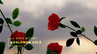 Gönlümün Gülü Kirik Mizrap