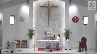 Lễ Mình và Máu Thánh Chúa - 9:30AM