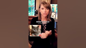 Taylor Swift named different CAT BREEDS in 10 sec. She really is a cat lover ##shorts #taylorswift