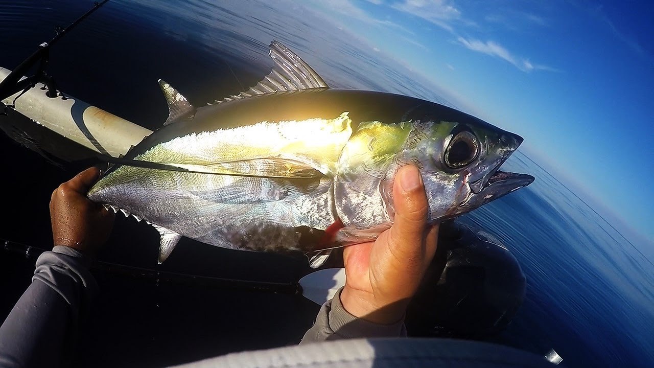 Florida Keys Kayak Fishing The XXHeavy Jigging Rod Is Back YouTube