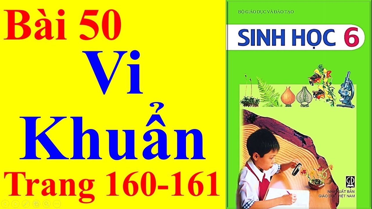 Giải bài sinh học lớp 6 | Sinh Học Lớp 6 Bài 50 – Vi Khuẩn – Trang 160 – 161