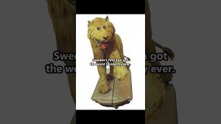 This might be the worst taxidermist ever #history #story #historyfacts #storytime
