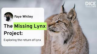 The Missing Lynx Project: Exploring the return of lynx | Faye Whiley