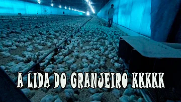 O que faz o granjeiro?