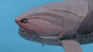 Dunkleosteus  Smaller and Rounder Than Expected?