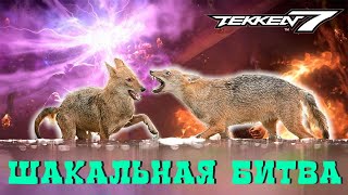 Два Шакала Сцепились в Tekken 7