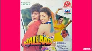 Chinai Chun Chun (Jallaad 1995) - Udit Narayan, Sadhana Sargam HQ Audio Song