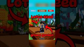 Lotus Seed Grow A Garden