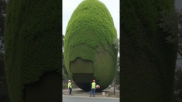 The Most Relaxing & Satisfying Gardening Work You