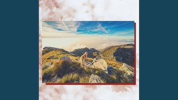 Pulsating Ambiance for Inspiring Reads