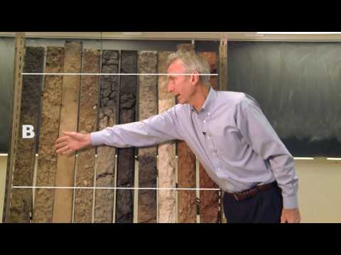 Soil Basics: Soil Profiles