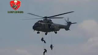 Download Lagu Hymne Baret Jingga MP3