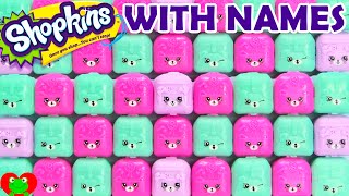 Shopkins Challenge Answers Season 1 2 3 4 5 and Exclusives in Petkins Backpack