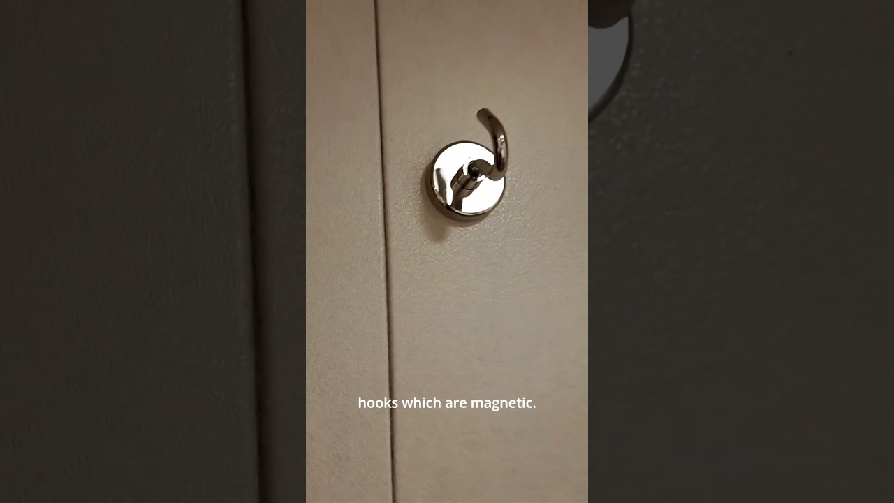 Cruise top tip. Aurora B202Magnetic hooks are your friend!