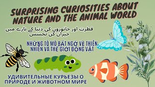 Surprising curiosities about nature and the animal world by Cool & Hot Hub 1,605 views 9 months ago 4 minutes, 33 seconds