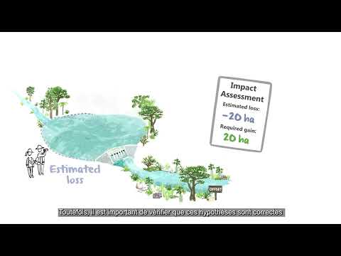 Video 9: Suivi