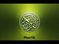 سورة القصص القارئ عامر الكاظمي سورة القصص القارئ عامر الكاظمي
