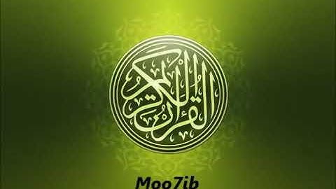 سورة القصص .. القارئ عامر الكاظمي