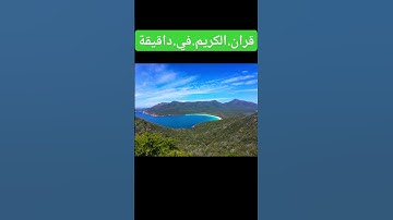 سورة.لقمان.إسلام.صبحي #اكسبلور #quran #المصحف #دويتو #nature #duet #flowers #لايك #ترند احترم.القران