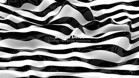 Zebra Lines 7 | Motion Graphics - Videohive template