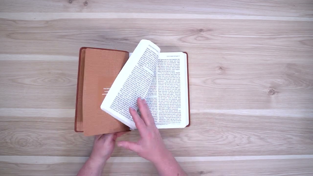 NLT Premium Value Giant Print Bible, Tan Mountain LeatherLike