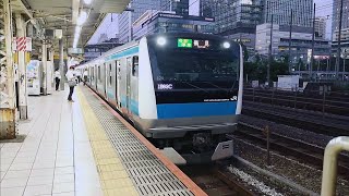 E233系1000番台サイ124編成10両