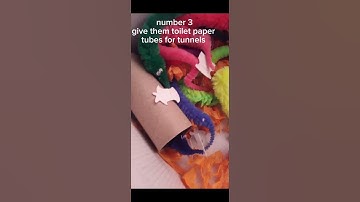 how to take care of your worms on a string