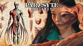 Parasyte Origin & Anatomy Explored - Are These Creatures Like Venom? Parasyte The Grey Netflix