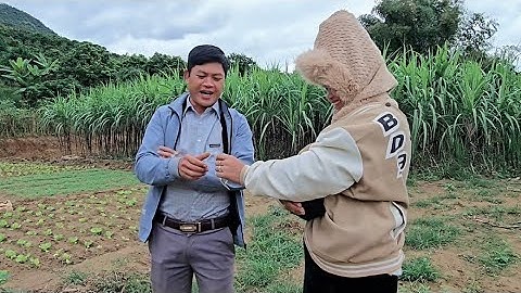 LÓ THÍCH ÂU NGẤN LÁO MÁ TỎN KIM CƯƠNG BẬY DỆT VỐN