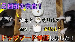 ドッグフードを実食！！初めて食べてみました！ワンちゃん達が食べてるご飯とは・・【狆とチワワ】