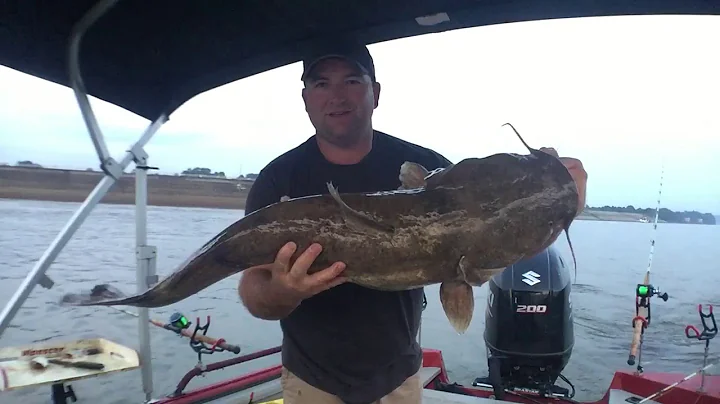 Catfishing RC Byrd Dam on the Ohio River