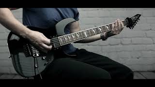 Avatar - Hail the Apocalypse (rhythm guitar cover)