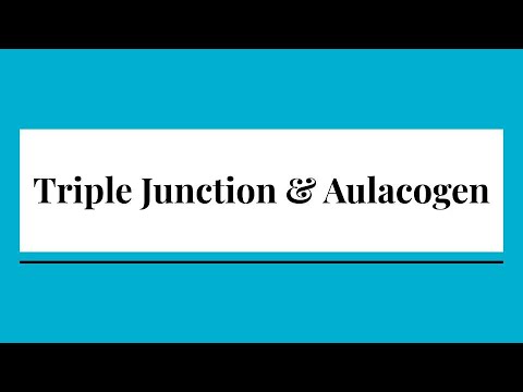 Triple Junction & Aulacogen (Question Included) | GeologyConcepts.com