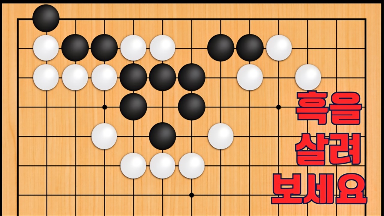 바둑 묘수 사활 - 바둑판에 코 빠트리는 묘수가 나옵니다. 흑을 살려보세요