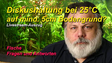 Kann man Diskus bei 25 Grad halten?