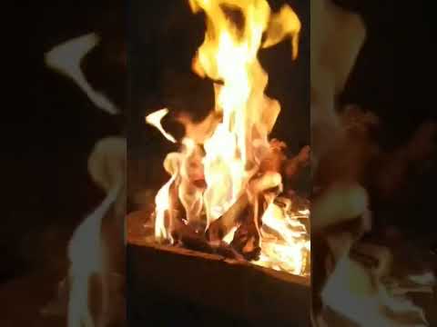 قصة بيت الشعر وما أنا إلا من غزية إن غوت غويت وإن ترشد غزية أرشد
