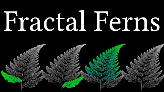 Barnsley ferns, but actually explaining each function