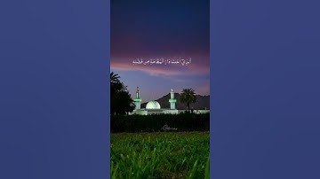 تلاوه خاشعه للشيخ علي جابر #القرآن_الكريم #اكسبلور #تلاوة_خاشعة #المصحف