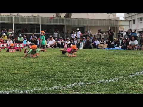 運動会2018 USA