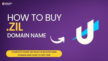 Why You Should Buy a .ZIL Domain Name NOW | Secure Your Decentralized Zilliqa Web Presence!