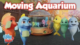 Bilu Mela - Moving Aquarium