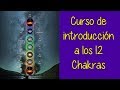 Curso sobre los 12 chakras ~ clase 1 (gratuita)