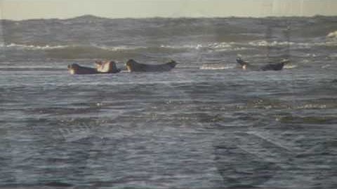 Phrozenlight - Ghoststories