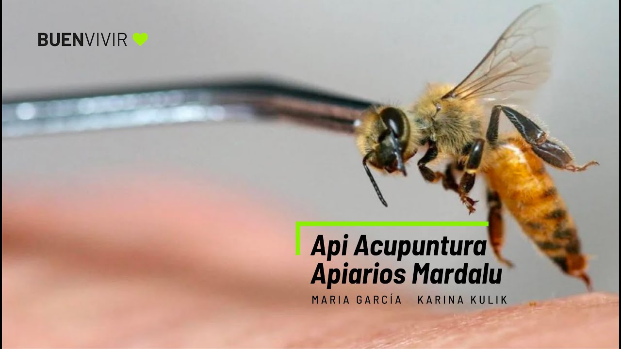 API ACUPUNTURA - Apiarios Mardalu - Karina Kulik - BUENVIVIR馃挌 04/07/25 Canal 4