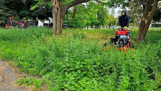 Community With The Most UNWELCOMING Front Yard Gets CLEANED UP