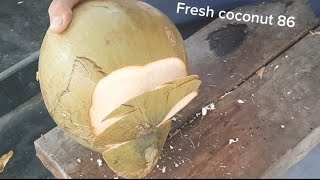 Cutting fresh coconut 27#coconut #cuttingskills #satisfying #fresh #skills
