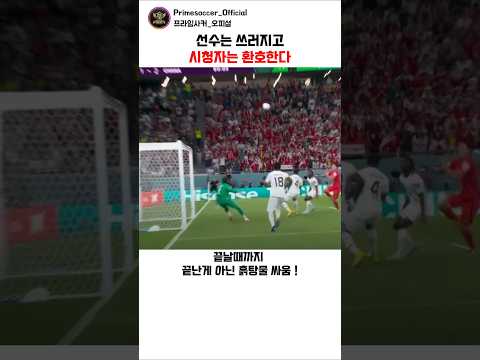 ​선수들 다 죽이려고 작정한 다음 월드컵 근황🏆