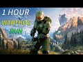 Halo Infinite Warthog Run Extended (1 Hour)