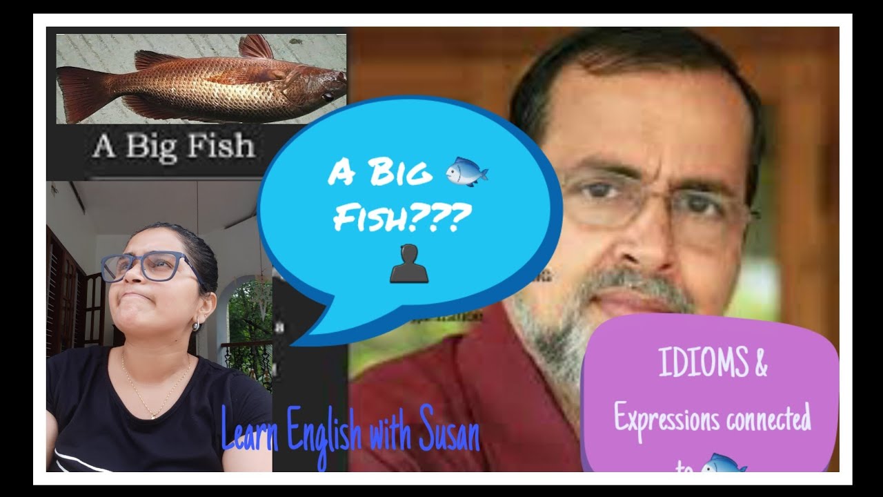 Neon salmon. карты blue fish. Would like 2 класс. The is some fish. тема how much is the fish.