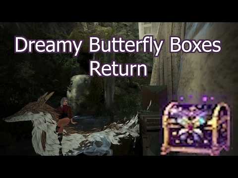 Dreamy Butterfly Boxes Return The Same as Before - Pearl store run down - BDO